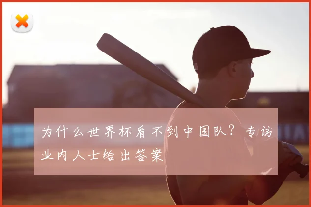 为什么世界杯看不到中国队？专访业内人士给出答案