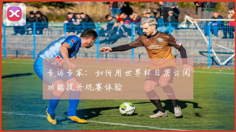 专访专家:如何用世界杯日历订阅功能提升观赛体验