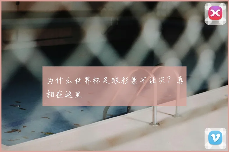 为什么世界杯足球彩票不让买？真相在这里