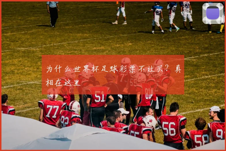 为什么世界杯足球彩票不让买？真相在这里