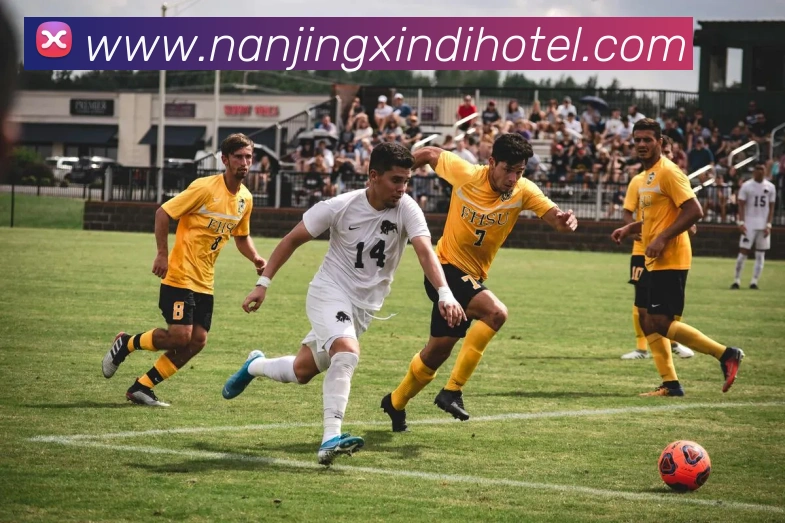 开云手机登录官网APP 封面图